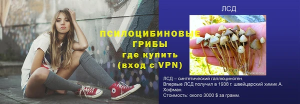 индика Нягань