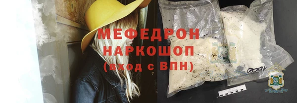 индика Нягань