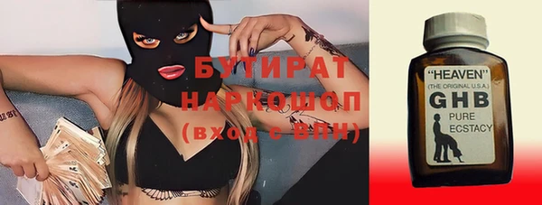 индика Нягань
