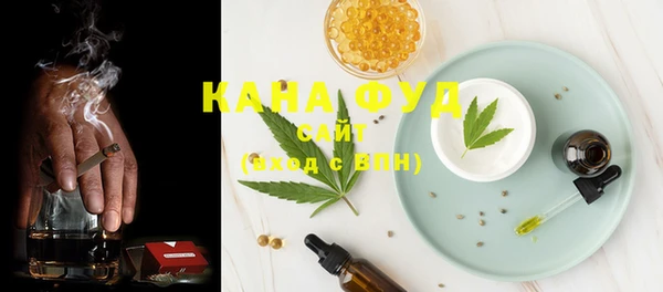 индика Нягань