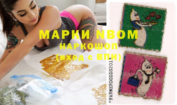 гидропоника Няндома