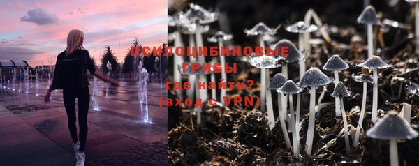 индика Нягань
