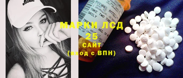 индика Нягань