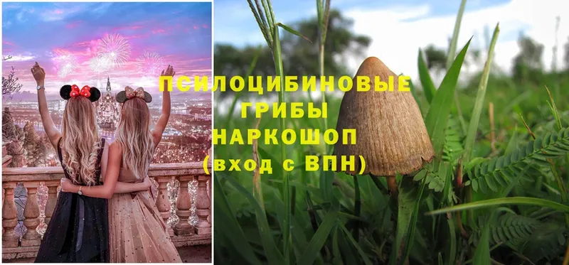 Галлюциногенные грибы MAGIC MUSHROOMS  как найти наркотики  MEGA как зайти  Энем 