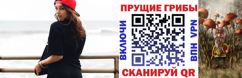 площадка как зайти  сколько стоит  Энем  Псилоцибиновые грибы мицелий  KRAKEN ТОР 